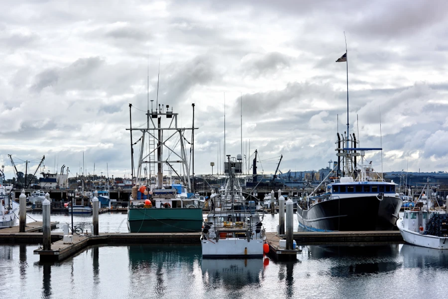 Puerto con barcos de pesca